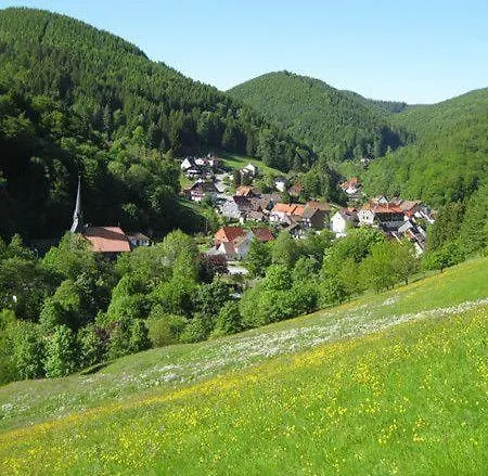 Ein-modern-eingerichtetes-ferienhaus-im-harz-mit-vielen-unterhaltungsmoeglichkeiten-drinnen-und-draussen Sieber