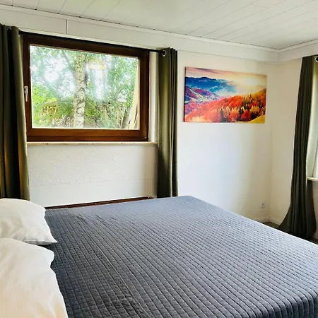 Ein-modern-eingerichtetes-ferienhaus-im-harz-mit-vielen-unterhaltungsmoeglichkeiten-drinnen-und-draussen