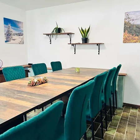 Ein-modern-eingerichtetes-ferienhaus-im-harz-mit-vielen-unterhaltungsmoeglichkeiten-drinnen-und-draussen *