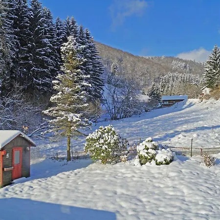 Casa vacanze Ein-modern-eingerichtetes-ferienhaus-im-harz-mit-vielen-unterhaltungsmoeglichkeiten-drinnen-und-draussen
