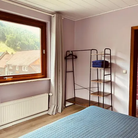 Ein-modern-eingerichtetes-ferienhaus-im-harz-mit-vielen-unterhaltungsmoeglichkeiten-drinnen-und-draussen Casa vacanze *