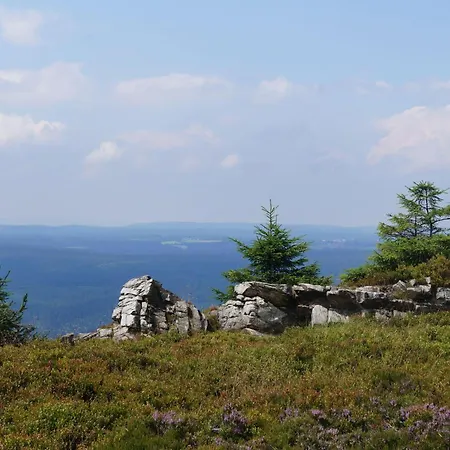 Ein-modern-eingerichtetes-ferienhaus-im-harz-mit-vielen-unterhaltungsmoeglichkeiten-drinnen-und-draussen Sieber