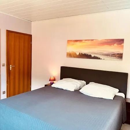Casa vacanze Ein-modern-eingerichtetes-ferienhaus-im-harz-mit-vielen-unterhaltungsmoeglichkeiten-drinnen-und-draussen *