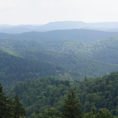 Ein-modern-eingerichtetes-ferienhaus-im-harz-mit-vielen-unterhaltungsmoeglichkeiten-drinnen-und-draussen Casa vacanze *