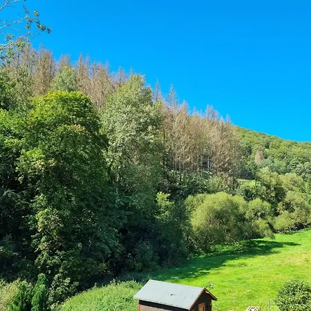 Casa vacanze Ein-modern-eingerichtetes-ferienhaus-im-harz-mit-vielen-unterhaltungsmoeglichkeiten-drinnen-und-draussen Sieber