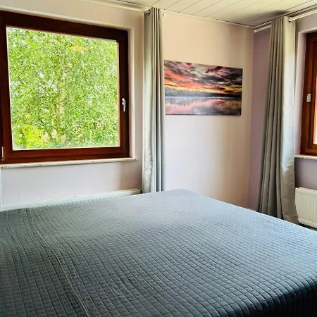 Ein-modern-eingerichtetes-ferienhaus-im-harz-mit-vielen-unterhaltungsmoeglichkeiten-drinnen-und-draussen Casa vacanze Sieber