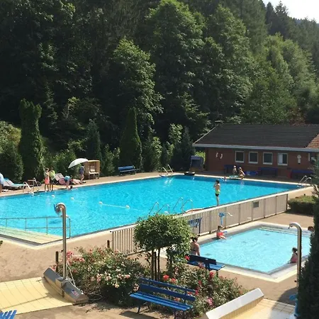 Casa vacanze Ein-modern-eingerichtetes-ferienhaus-im-harz-mit-vielen-unterhaltungsmoeglichkeiten-drinnen-und-draussen *