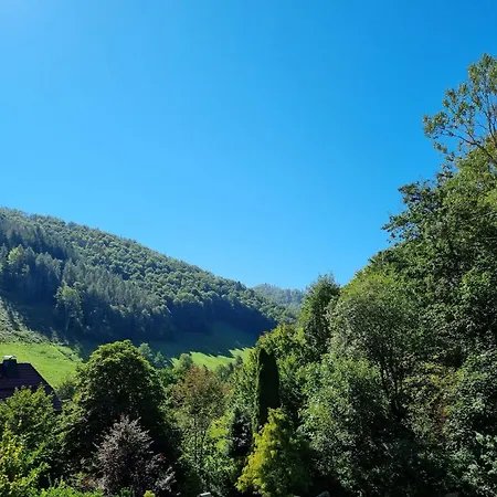 Ein-modern-eingerichtetes-ferienhaus-im-harz-mit-vielen-unterhaltungsmoeglichkeiten-drinnen-und-draussen Casa vacanze *